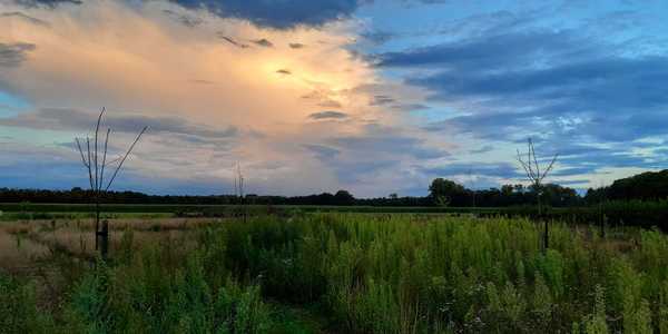 Wat biedt Landgoed De Verwachting?