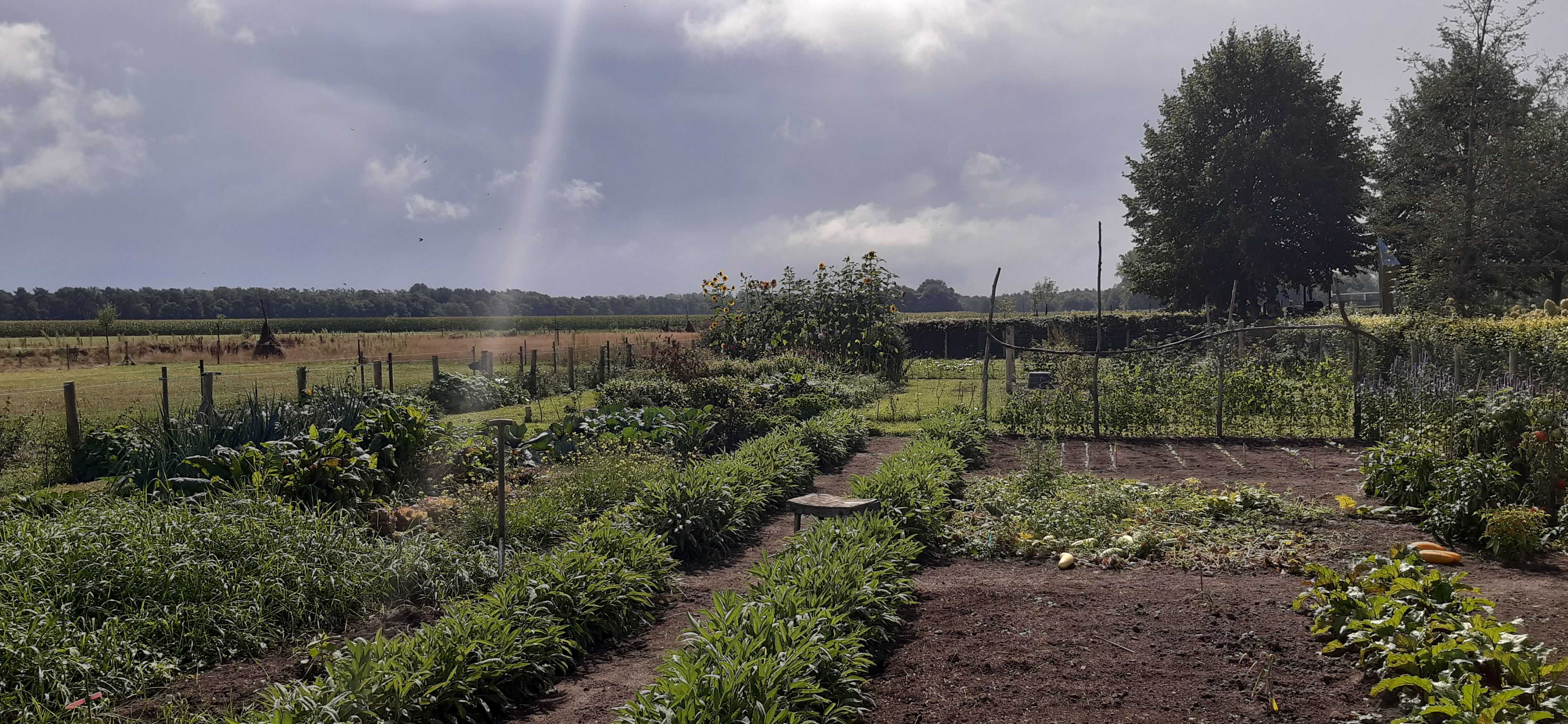 de moestuin