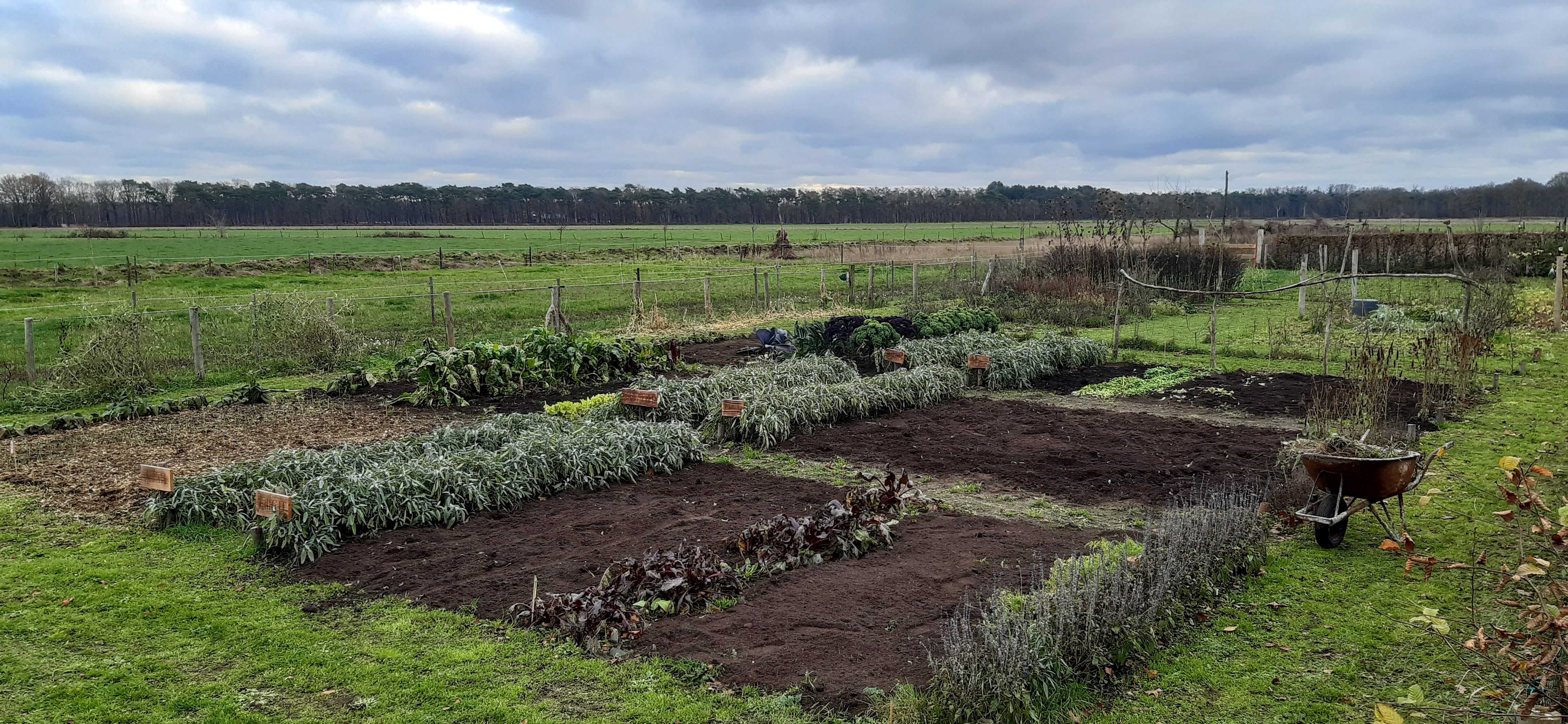 biologische tuin